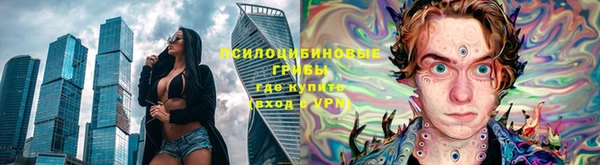 соль ск Арсеньев