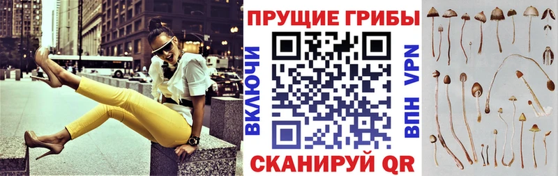 Псилоцибиновые грибы MAGIC MUSHROOMS  Свободный 
